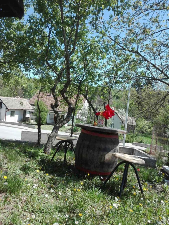 Apartmani Jankovic Vrdnik Exteriör bild