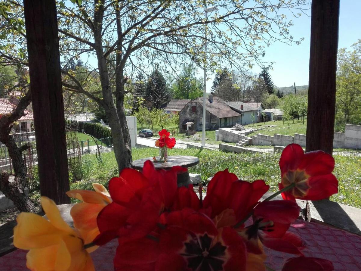 Apartmani Jankovic Vrdnik Exteriör bild