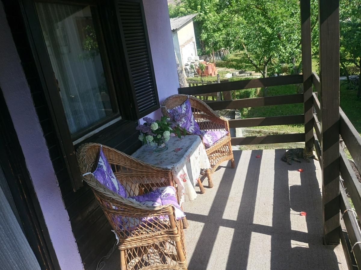 Apartmani Jankovic Vrdnik Exteriör bild