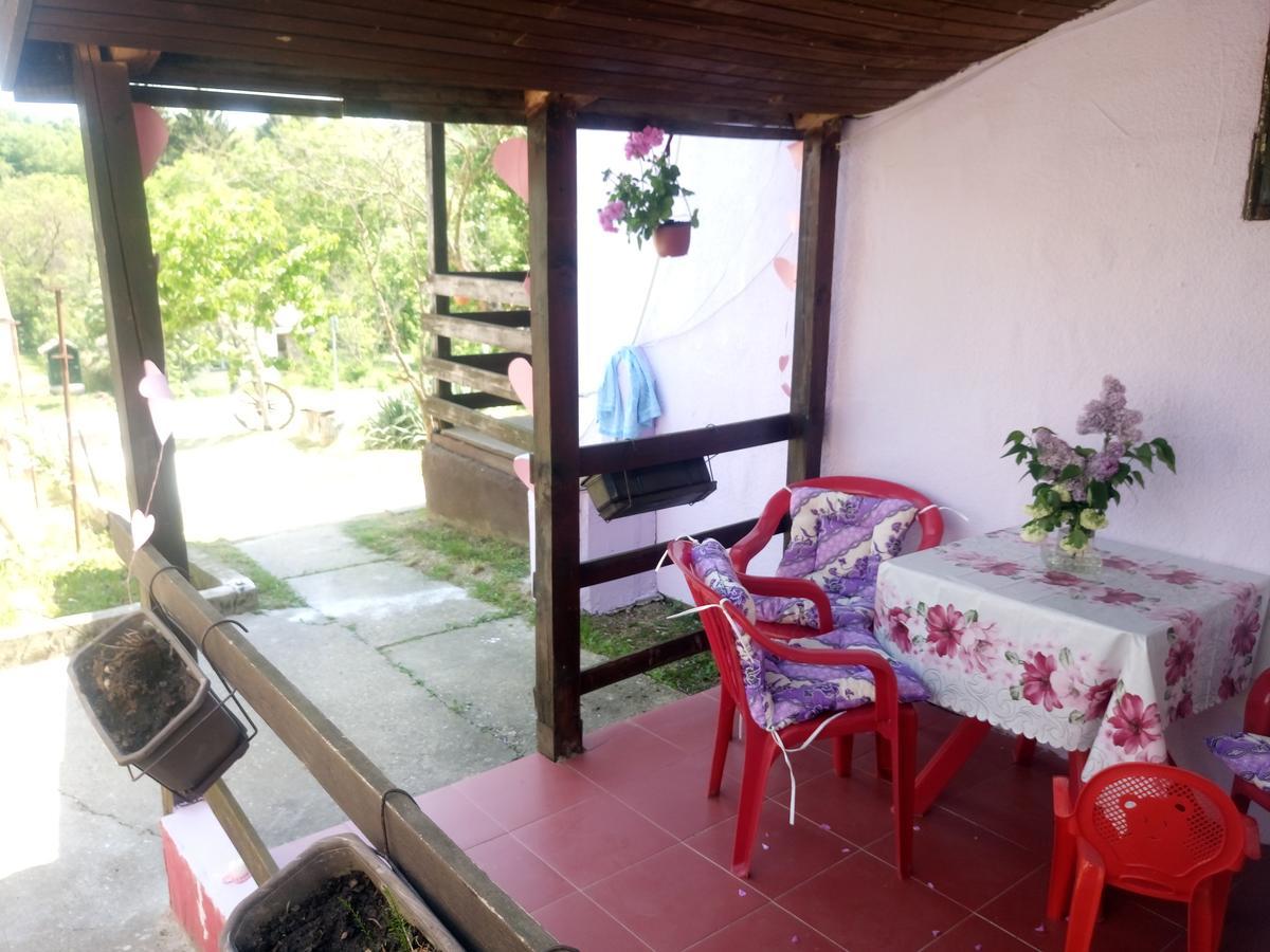Apartmani Jankovic Vrdnik Exteriör bild
