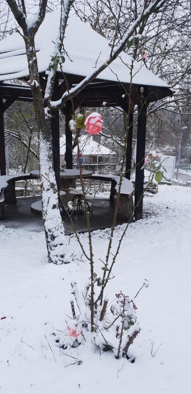 Apartmani Jankovic Vrdnik Exteriör bild